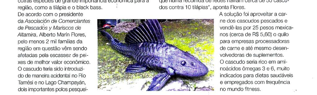 O artigo A new family of Neotropical freshwater fishes from deep fossorial Amazonian habitat, with a reappraisal of