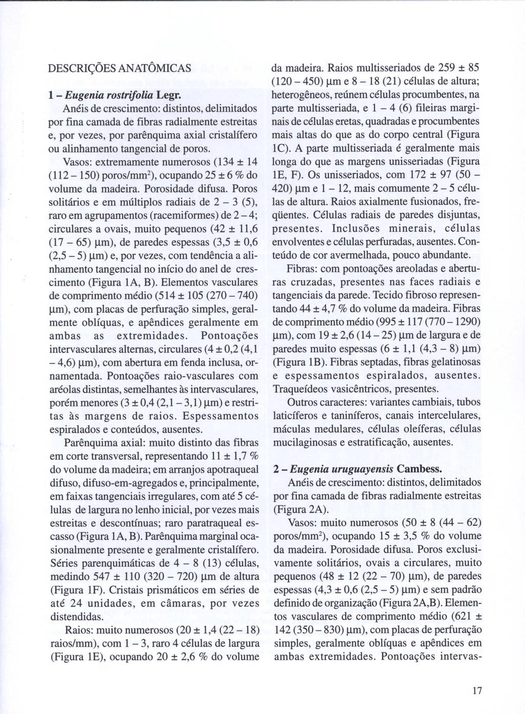 DESCRIÇÕES ANATÔMICAS 1 - Eugenia rostrifolia Legr.