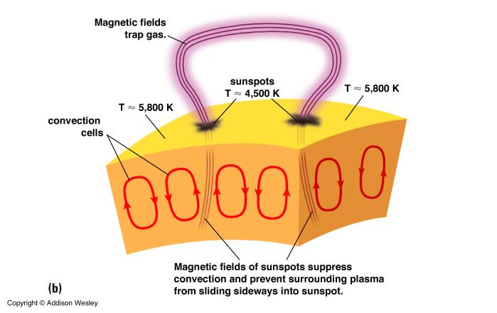 Manchas Solares Medidas de linhas espectrais mostram que manchas