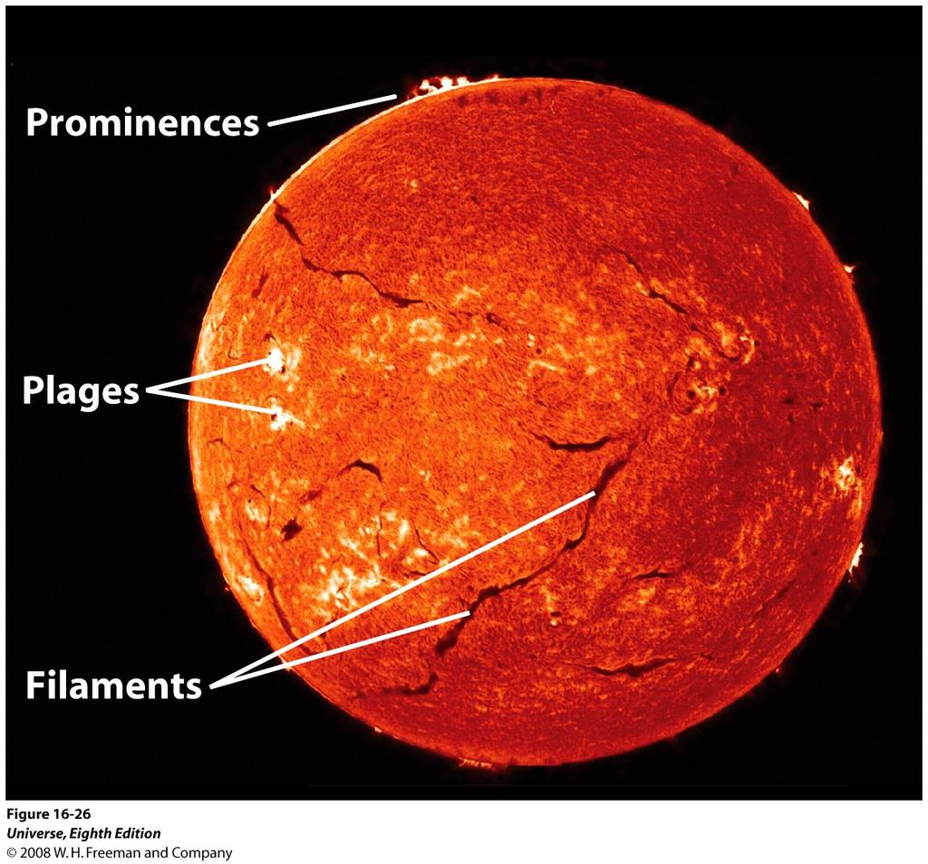 O Ciclo Solar Plages (francês para praias) são regiões na cromosfera brilhantes em Hα perto de manchas