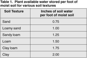 Disponibilidade de água às plantas: - É muito diferente de teor de água no solo... -Nem toda água armazenada no solo é disponível às plantas.