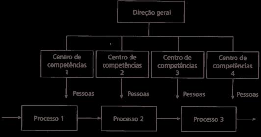 Busca de eficiência e redução de custos contra a concorrência. Redes: funcionam horizontalmente, com pessoas que se comunicam sem restrições, em todas as direções, e com uma liderança muito enxuta.