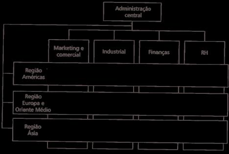 Estruturas Matriciais: Áreas Funcionais e Geográficas Trabalho Final 1.