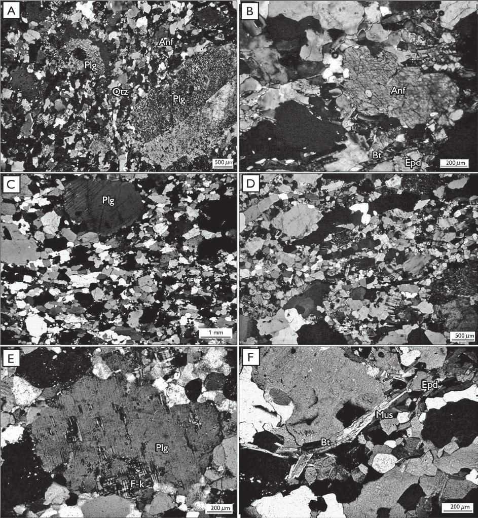 Geologia, petrografia e geoquímica de Associações Tonalíticas e Trondhjemíticas Arqueanas de Vila Jussara, Província Carajás, Pará Figura 4.