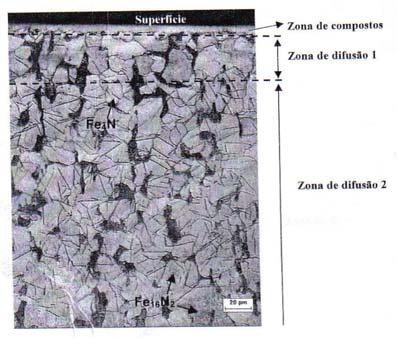 Revisão Bibliográfica - 38 - Figura 2.3 Micrografia do aço AISI 1020 (LIMA, 2003). 2.5 - Nitretação Por Plasma de Aços Inoxidáveis Austeníticos Os austeníticos constituem a maior família de aços inoxidáveis, em aplicações e tipos diferentes.