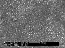 2 Micrografia do MEV das diversas regiões