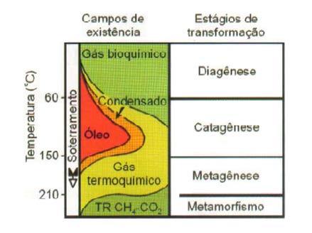 2) Fundamentação Teórica 2.1) Geologia do Petróleo 2.1.1) Geração do Petróleo O petróleo é o resultado da ocorrência de alguns fatores ao mesmo tempo.