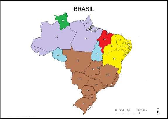 Figura 02: Mapa do Brasil com a formação dos 03 clusteres Fonte: Elaborado pelo autor Com o objetivo de averiguar o quanto o distrito federal (Brasilia) interfere nesta análise, rodarse-á um novo