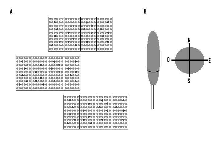 procedimentos ocorreram no Laboratório de Sensoriamento Remoto da UFSM (LABSERE), com a utilização de um espectrorradiômetro FieldSpec 3 conectado à unidade RTS-3ZC³ (esfera integradora).