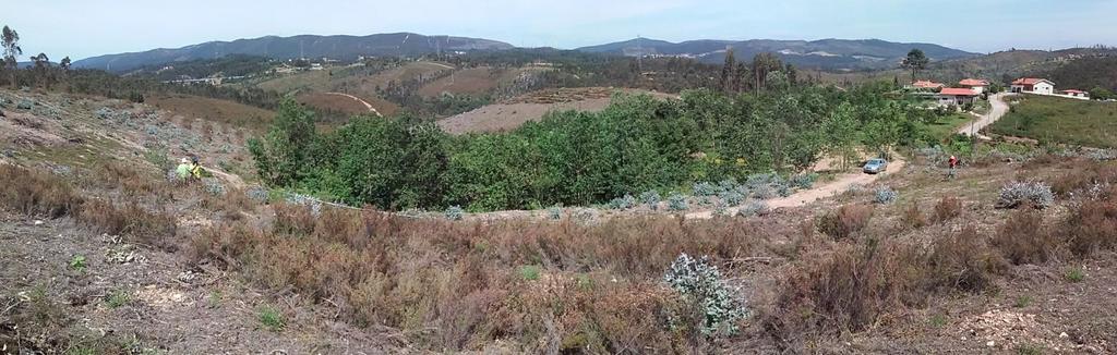 Gondomar Ribeiro de Colmeias Data de plantação 3 e janeiro e 2 de fevereiro 205 Exemplares plantados.