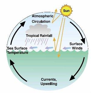 Alterações Climáticas e o Mar * O oceano armazena enormes quantidades de energia térmica e apresenta uma resistência razoavelmente elevada às alterações de temperatura.