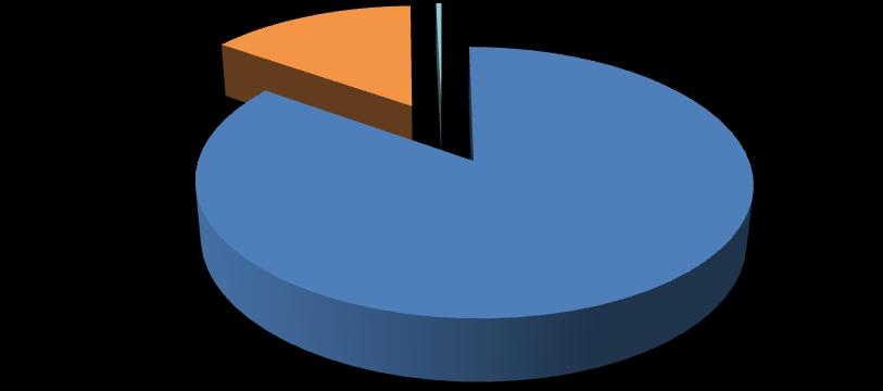 2. Caraterização da vítima Em termos de caracterização da vítima, os utentes que mais recorreram aos serviços do GAV de