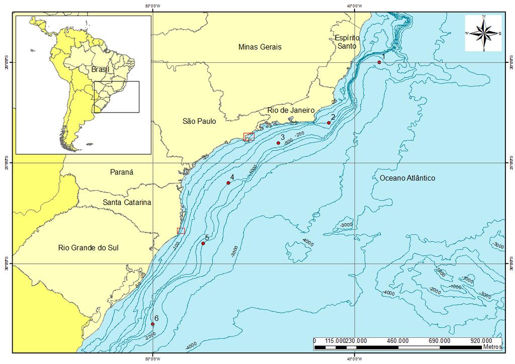 - 24 - a linha de costa gera uma grande diversidade de paisagens (TESSLER & CAZZOLI Y GOYA, 2005).