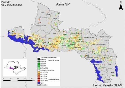 7.5.7. São Paulo Figura 13 - Mapas de anomalia do IV das lavouras de grãos em relação à safra passada O mapa mostra um pequeno predomínio de áreas em amarelo, laranja e marrom.