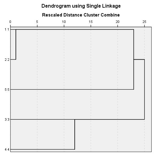 O PASW Statistics gera o dendograma.