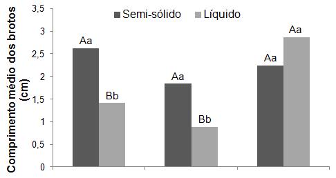 26 A B C Figura 3: Comprimento médio dos brotos (A), massa fresca (B) e massa seca média das