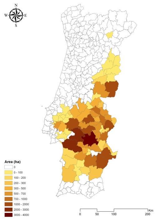 Os resultados do Projecto Pastagens Semeadas Biodiversas no terreno 50.