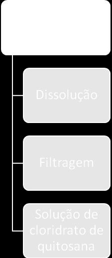 A quitosana foi dissolvida gradualmente em partes de água destilada e deionizada e partes de uma solução de ácido clorídrico.