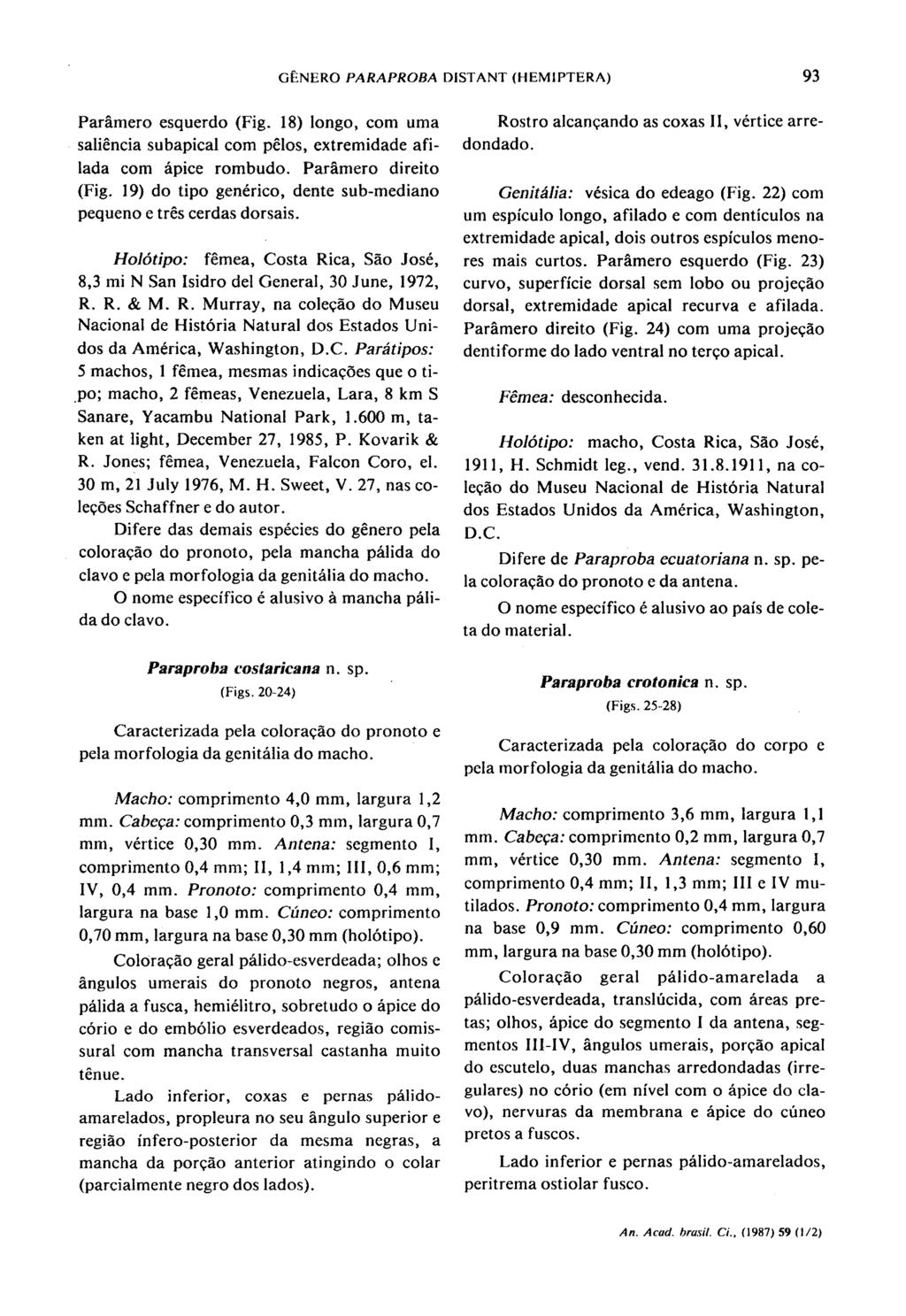 GENERO PARAPROBA DISTANT (HEMIPTERA) 93 Pararmero esquerdo (Fig. 18) longo, com uma saliencia subapical com pelos, extremidade afilada com Apice rombudo. Pararmero direito (Fig.