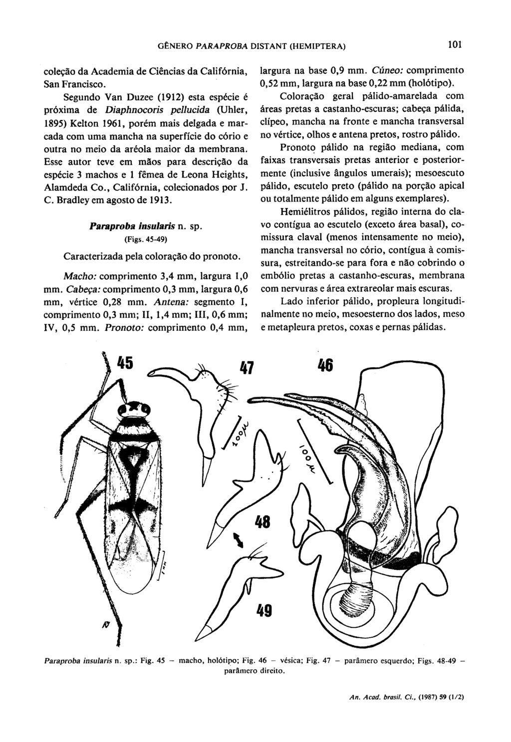 GENERO PARAPROBA DISTANT (HEMIPTERA) 101 cole9ao da Academia de Ciencias da Calif6rnia, San Francisco Segundo Van Duzee (1912) esta esp6ci et proxima de Diaphnocoris pellucida (Uhler, 1895) Kelton