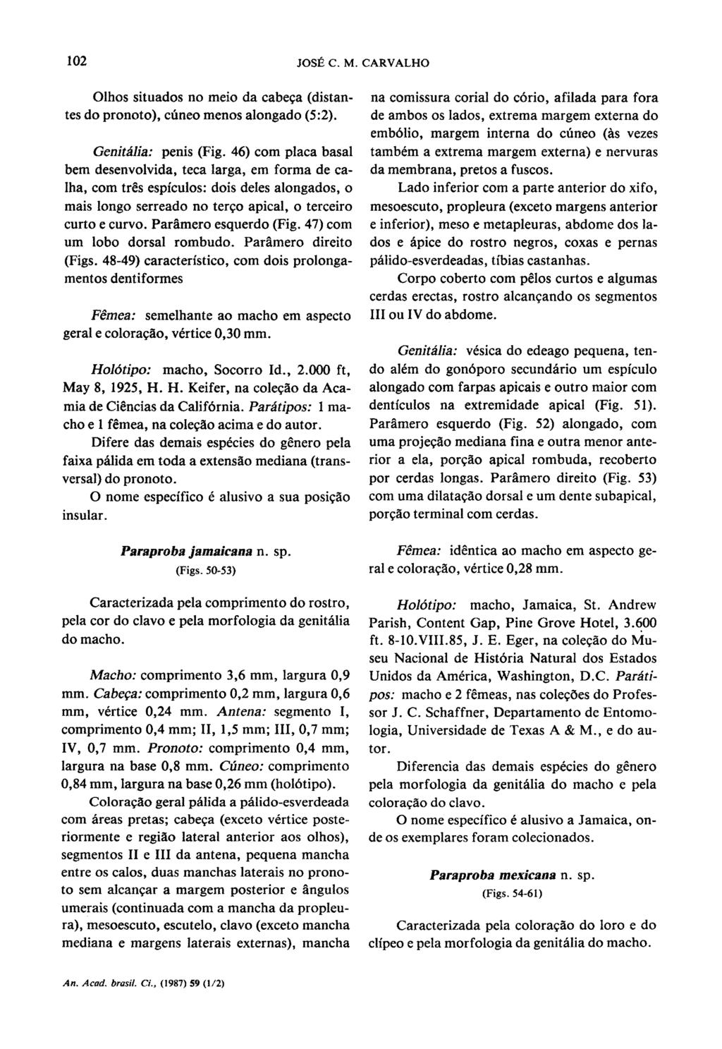 12 JOSE C. M. CARVALHO Olhos situados no meio da cabeqa (distantes do pronoto), cu'neo menos alongado (5:2). Genitalia: penis (Fig.