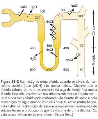 MECANISMOS DE DILUIÇÃO E