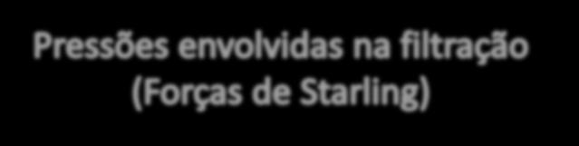 CARACTERÍSTICAS DA FILTRAÇÃO DINÂMICA DA FILTRAÇÃO Forças de Starling O que faz ocorrer a