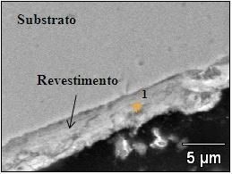 Biodegradação de