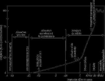 c) Heterotrófica; d) Endossimbiótica; e) Por quimiossíntese. demais valores indicam diferentes porcentagens dessa quantidade.