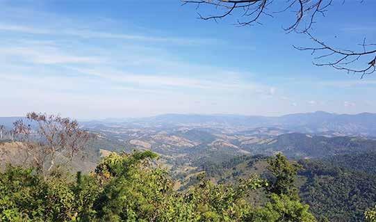 16/21 T Região encravada no meio da Serra da Mantiqueira para quem gosta de se aventurar pela floresta.