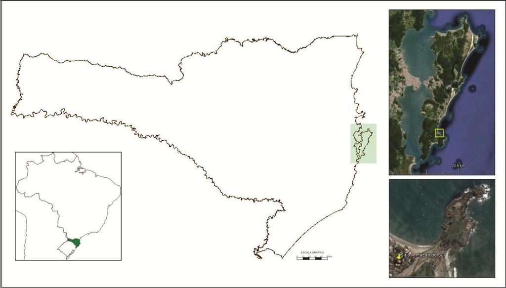 Figura 1. Localização do sítio da Armação do Sul, na Ilha de Santa Catarina.