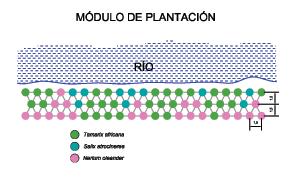 3-4º Eixo Estratégico Recuperar e reabilitar ecossistemas CMDFCI 164 Módulos de plantação O módulo de plantação escolhido encontra-se na página seguinte.