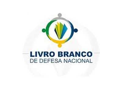 estratégias de defesa cibernética e o espaço cibernético brasileiro deve ser melhorado, promovendo o desenvolvimento da capacidade, conhecimento de produção e inteligência.