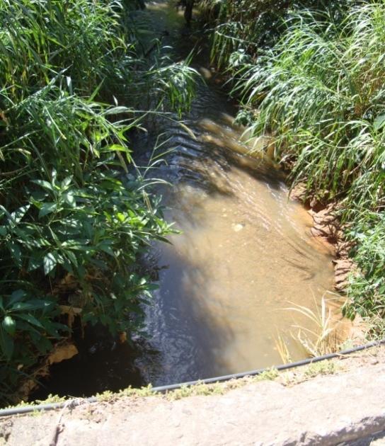 A presença do fósforo em águas de rio pode ser de origem inorgânica ou orgânica, natural ou antrópica.