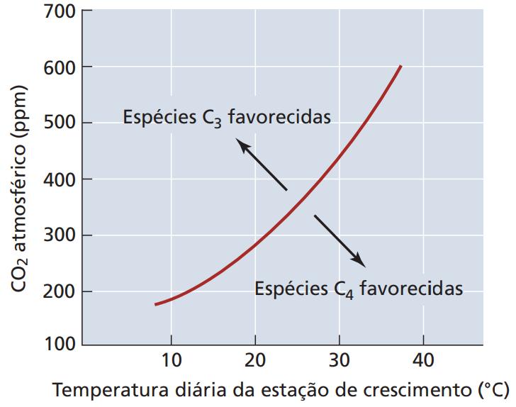 Como a fotossíntese mudará no