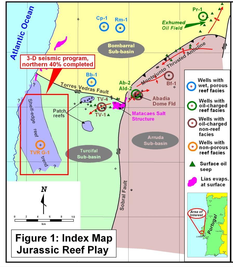 4 CASO DE ESTUDO 4.1 Região de interesse Esta região compreende as áreas do Anticlinal de Montejunto, do Vale de Abadia e do poço de pesquisa Benfeito-1 entre outros poços.