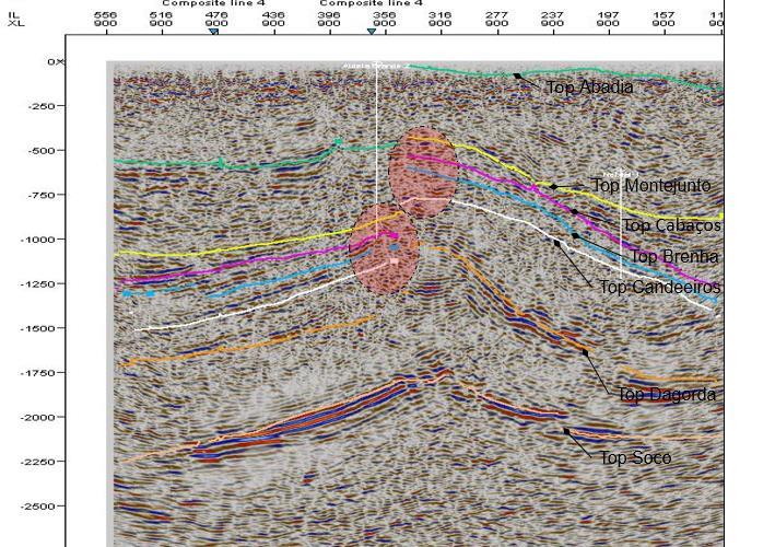 Figura 62 Imagem da secção sísmica (crossline 900) com a indicação de possíveis zona de interesse para o