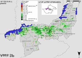 anomalias positivas (em verde).