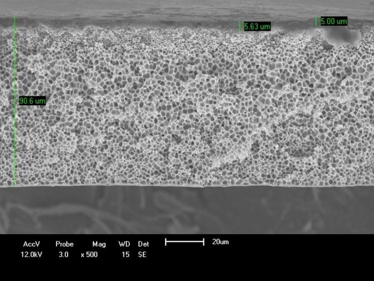 69 Figura 45. MEV da seção transversal da membrana de PSF M7.