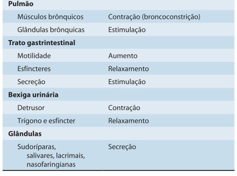 agonista nicotínico colinérgico Relaxa a musculatura