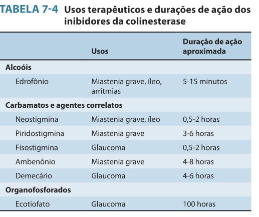 Farmacologia clínica dos Usos clínicos colinomiméticos Junção neuromuscular Miastenia Grave Doença auto imune Afeta as junções musculoesqueléticas Anticorpos contra receptores