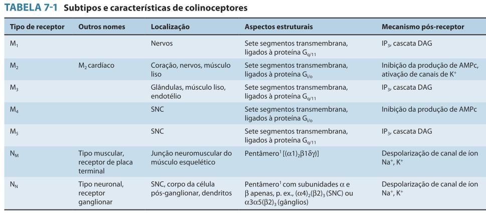 Espectro de ação dos fármacos colinomiméticos Receptor nicotínico + receptor muscarínico =