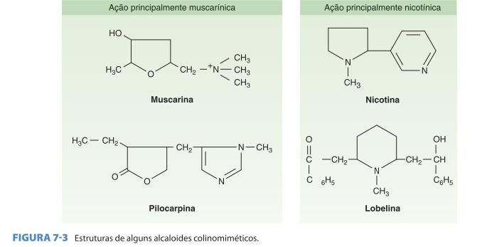 colinoceptor Colinomiméticos