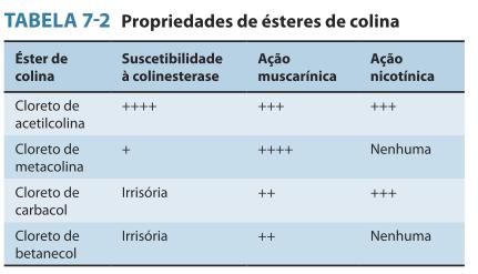 Farmacologia básica dos estimulantes de ação direta de colinoceptor Farmacocinética Ésteres de colina