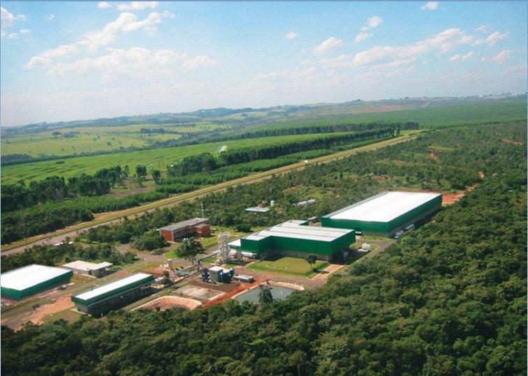 GRUPO CENTROFLORA DO BRASIL Extratos líquidos e secos: Guaraná,