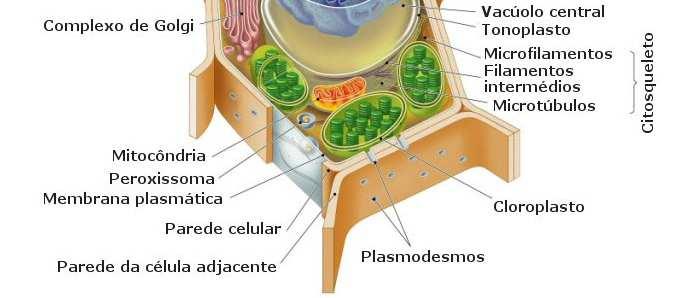 Unidades