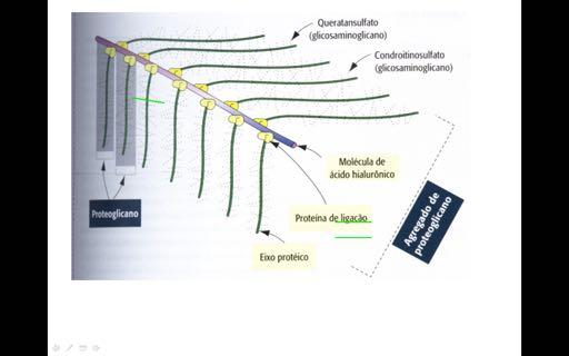 Matriz: Agregados