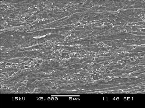 Existe a presença de carbonetos (oriundos da perlita) que não foram dissolvidos para ambas as amostras 0,0 Mo 0,15 Mo 0,30 Mo 0,45 Mo Figura 3