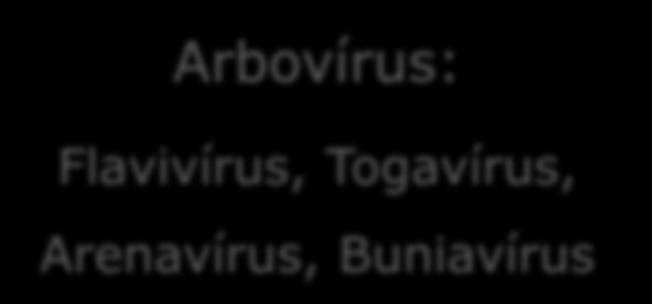Togavírus, Arenavírus,