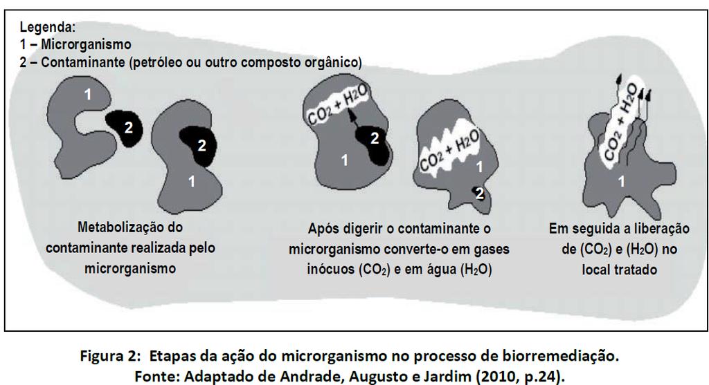 REMEDIAÇÃO DE SOLOS CONTAMINADOS Para que haja a biodegradação completa ou a mineralização, o composto original precisa ser oxidado formando